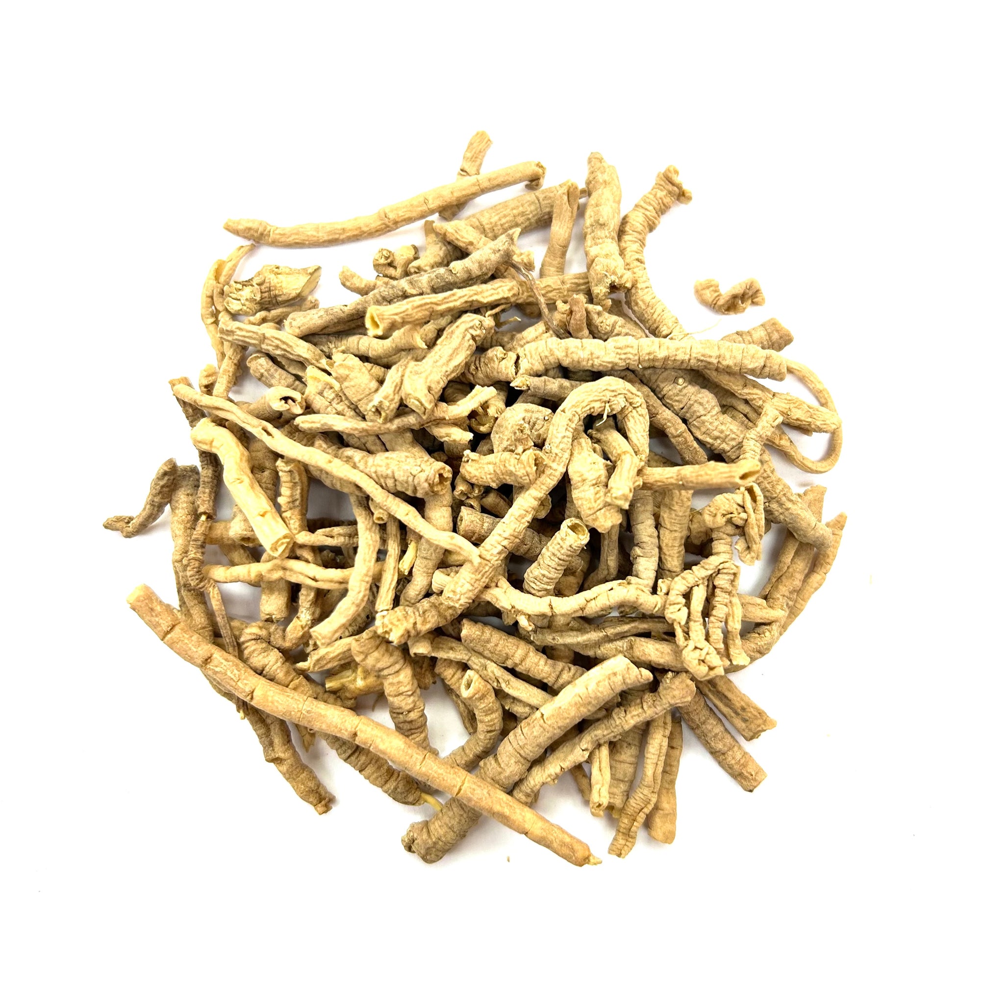 Yuan Zhi (Polygalae Radix, Thinleaf Milkwort Root, 遠志)