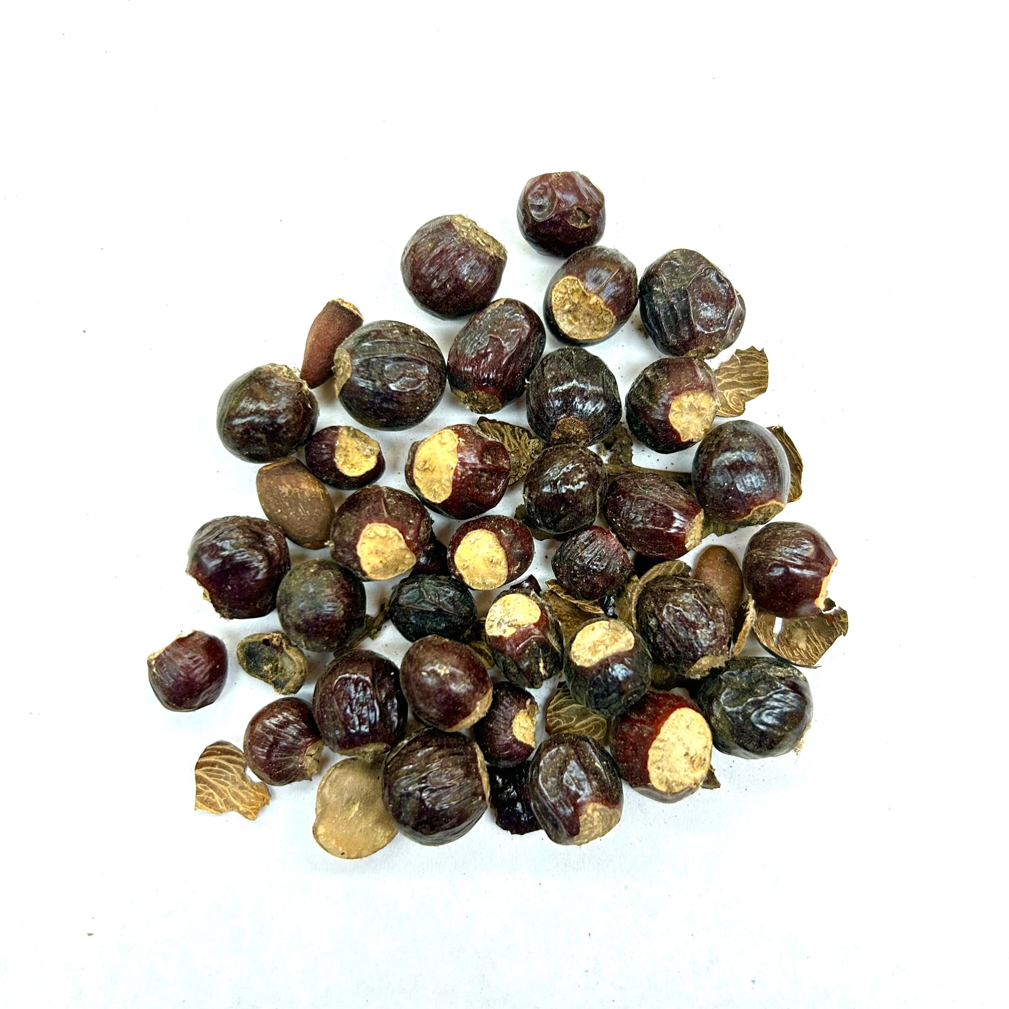 Long Yan He (Semen Longan, Longan Fruit Nut, 龍眼核, 桂圓核)